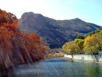 澳门天天彩期期精准平肖，王新政白马寺痛消贴